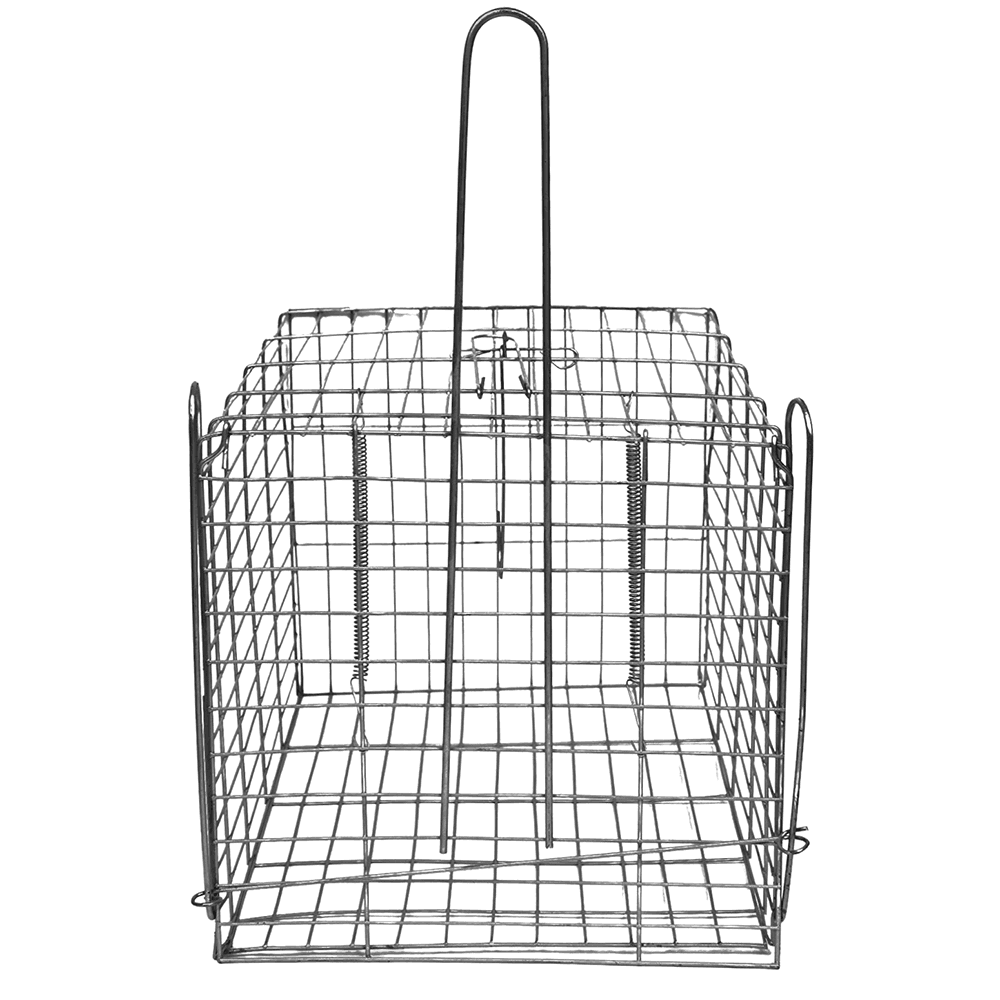 High-Quality Heavy-Duty Metal Humane Cat Trap