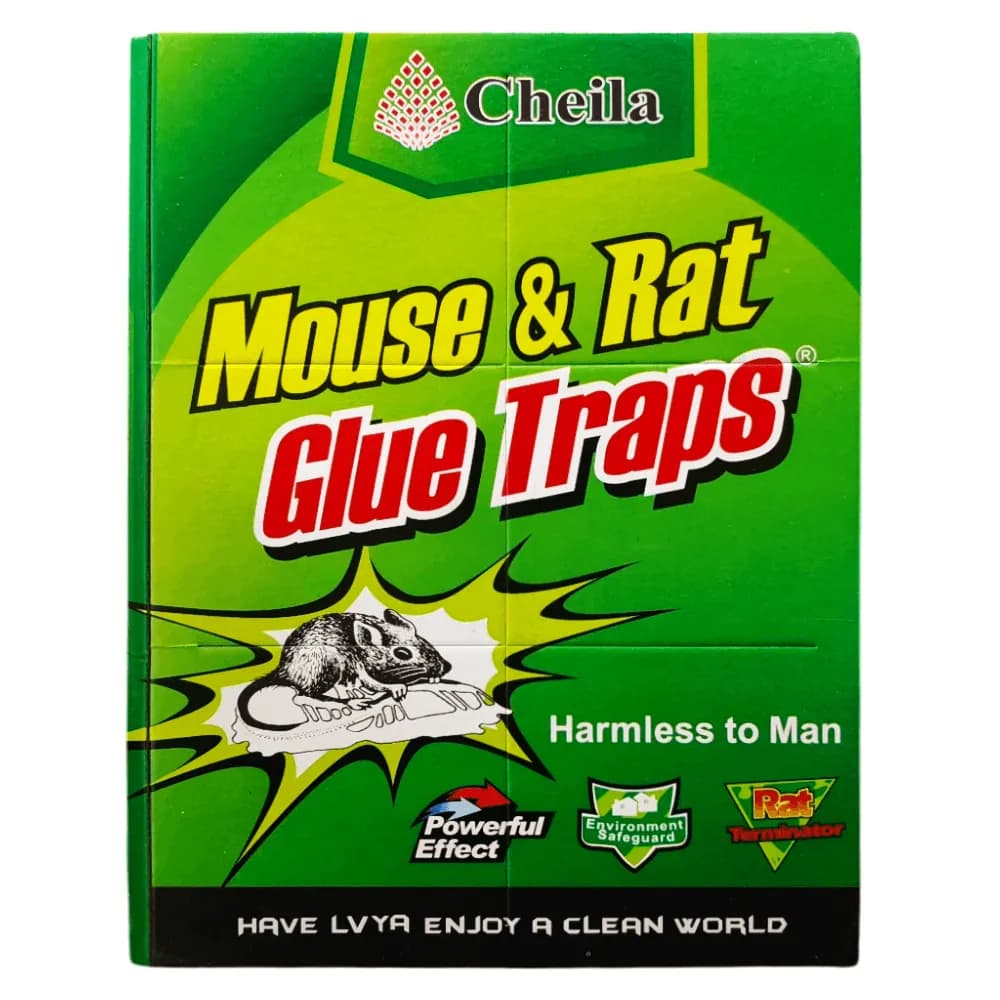 كتاب لاصق للفئران والقوارض Cheila Mouse & Rat Glue حجم كبير