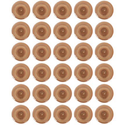 محطة طعم للنمل Advion 1.98 جرام
