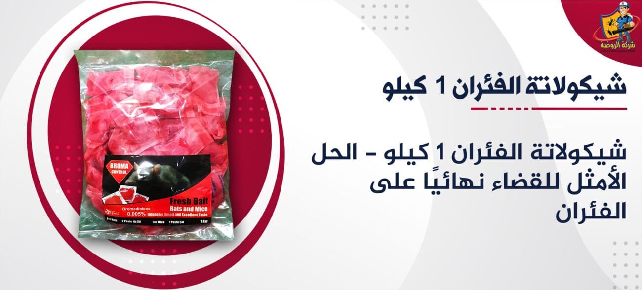 شيكولاتة الفئران 1 كيلو - الحل الأمثل للقضاء نهائيًا على الفئران